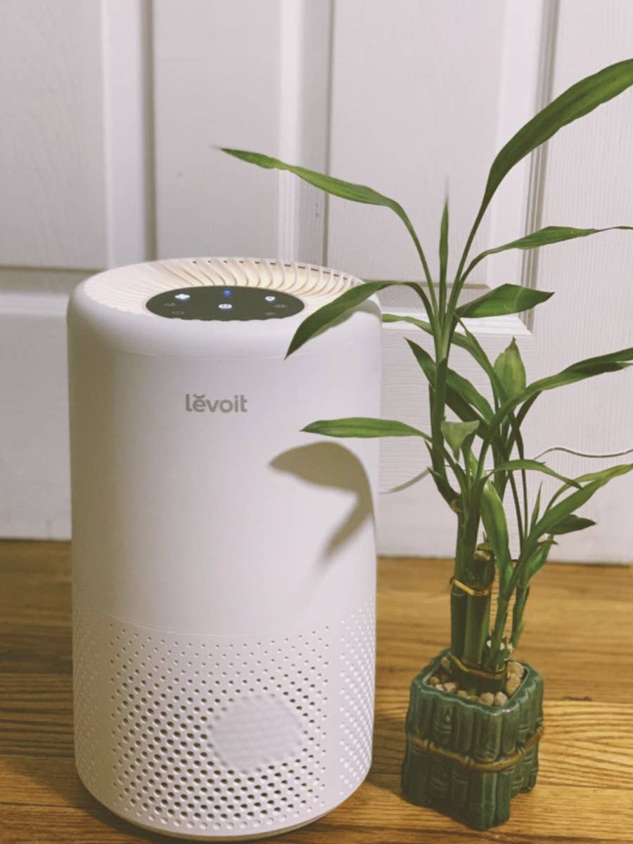 Levoit LV-H132 Black Portable Corded Electric True HEPA Air Purifier Used