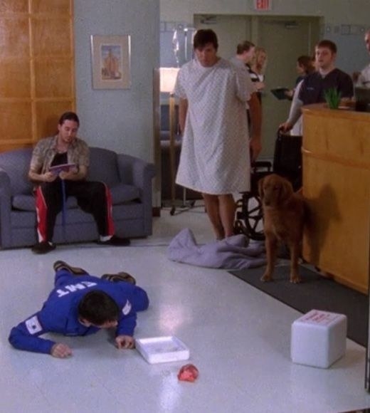 Dan&#x27;s heard being eaten by a dog