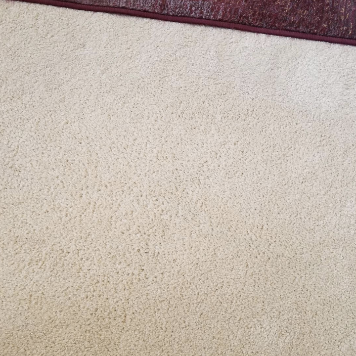 Same reviewer showing completely clean carpet after using Anodex