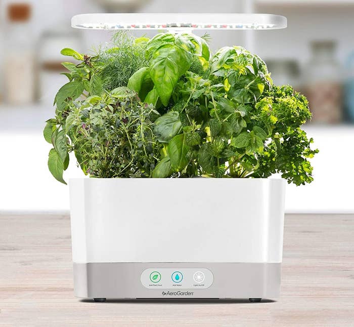 The AeroGarden in white