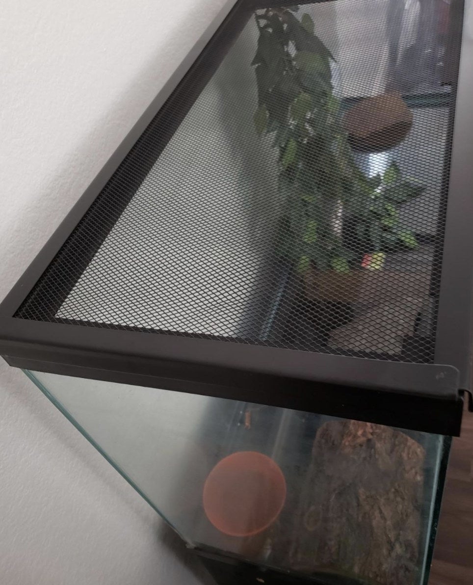 An image of a terrarium enclosure with a screen on top