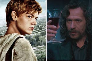 An image of Newt from The Maze Runner next to an image of Sirius Black from Harry Potter