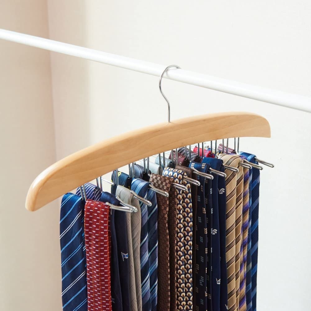 The organizer filled with neatly hung ties on a clothing rack