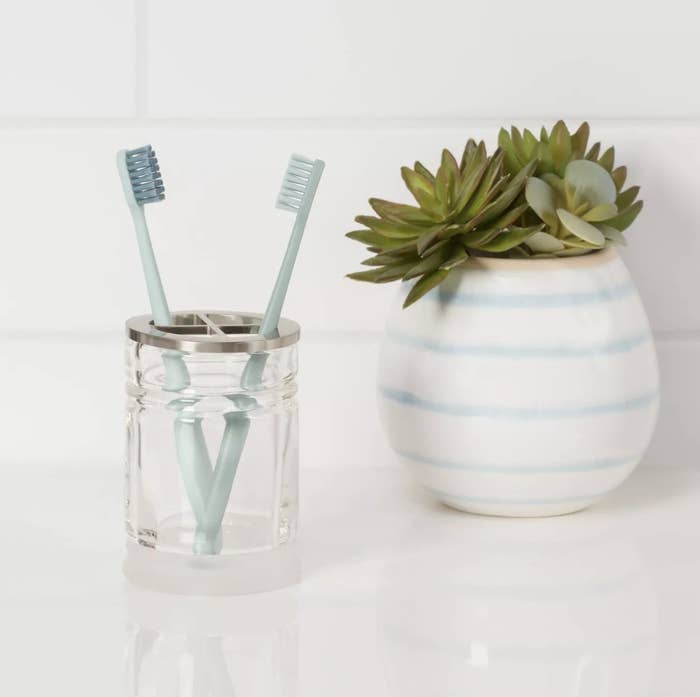 Toothbrush holder with two toothbrushes inside