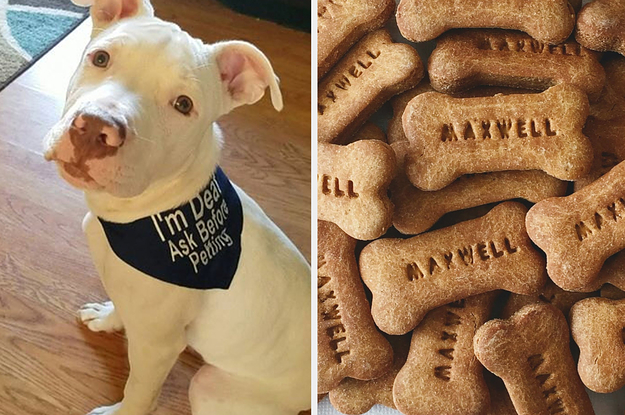 Just 22 Things On Etsy You May Want To Buy For Your Dog