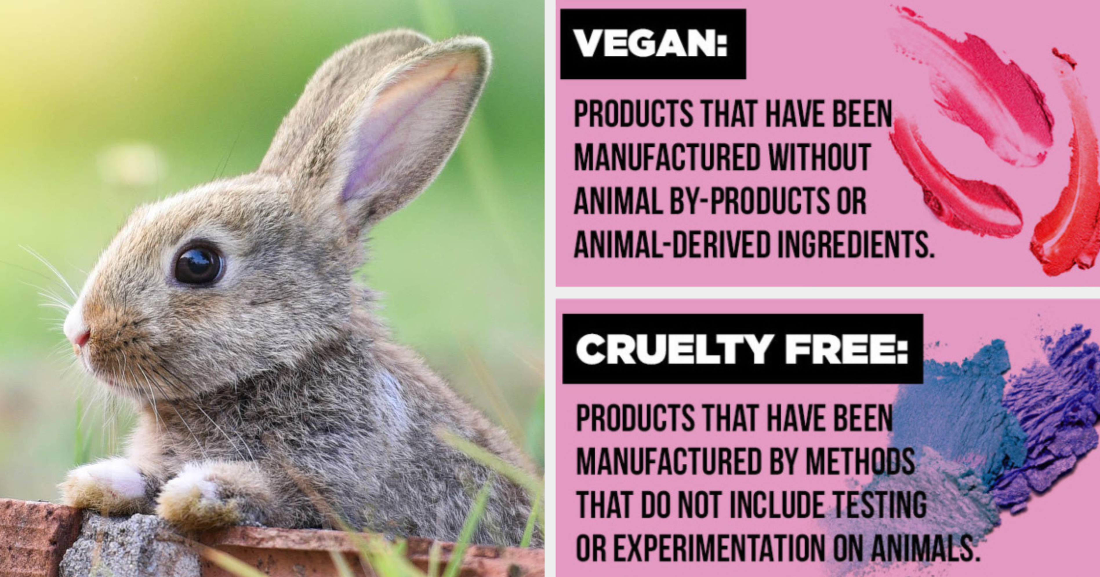 A Quick Explainer On Vegan VS. Cruelty-Free Products