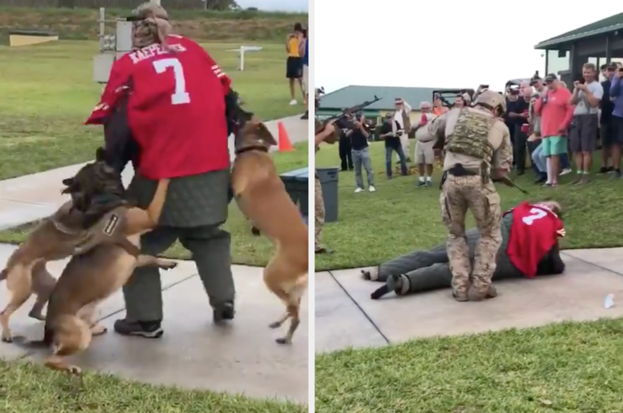 US Navy 'investigating' video showing four military dogs attacking man in Colin  Kaepernick jersey, The Independent