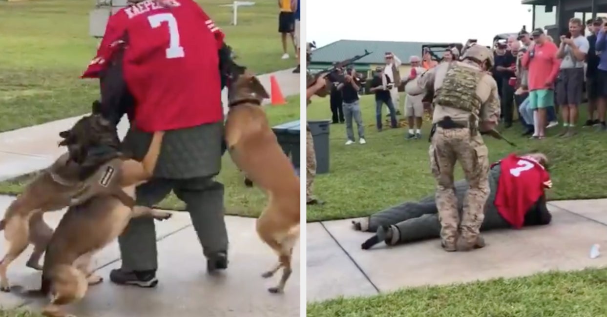 Navy SEALs investigating demonstration event where man in Kaepernick jersey  was attacked by dogs - ABC News