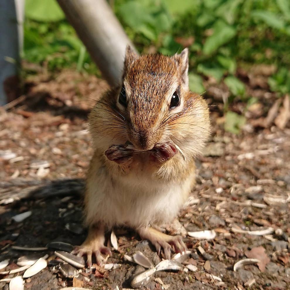 最新 北海道旅行で絶対に行くべき観光スポット 最新 北海道旅行で絶対に行くべき観光スポット