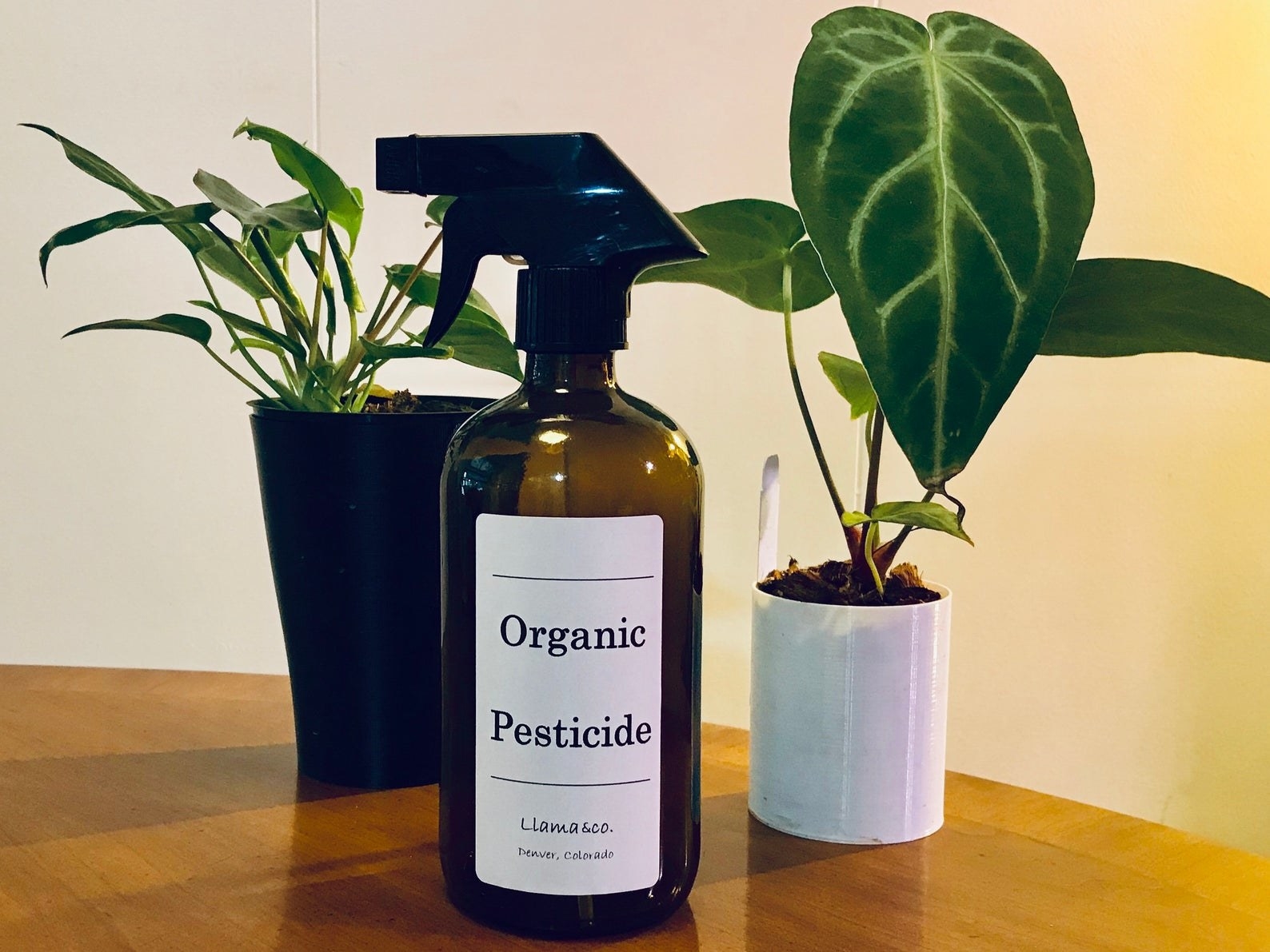A bottle of the pesticide on a countertop