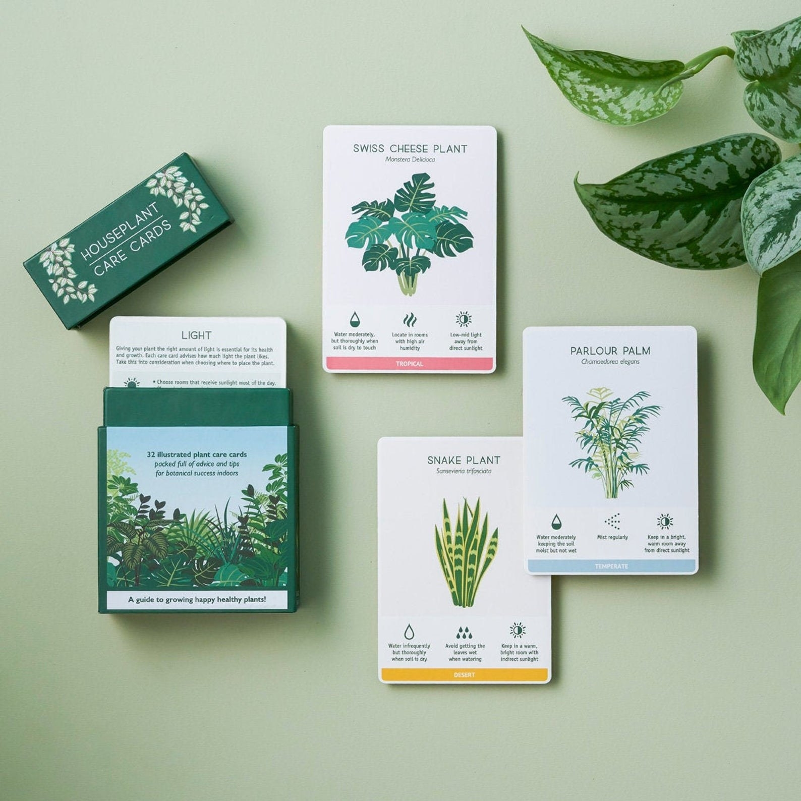 The deck of illustrated cards with facts about different plants