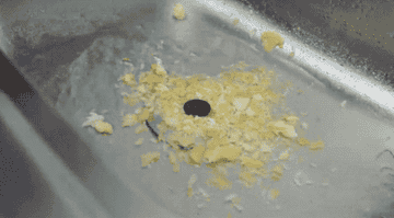Gif of the SinkShroom draining water even though its filled with food