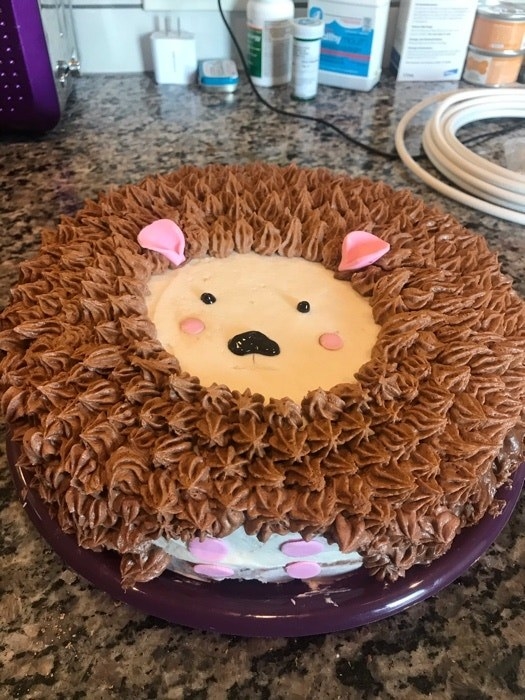 Cake that looks like a hedgehog