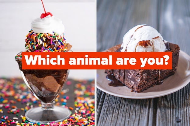 Create Ice Cream Sundae To Find Out Which Animal You Are Homemade ice cream can be made without an ice cream machine, but there is a wide variety of machines available. create ice cream sundae to find out