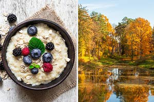 A delicious bowl of oatmeal with berries on top next to an autumnal image of a lake covered in falling leaves