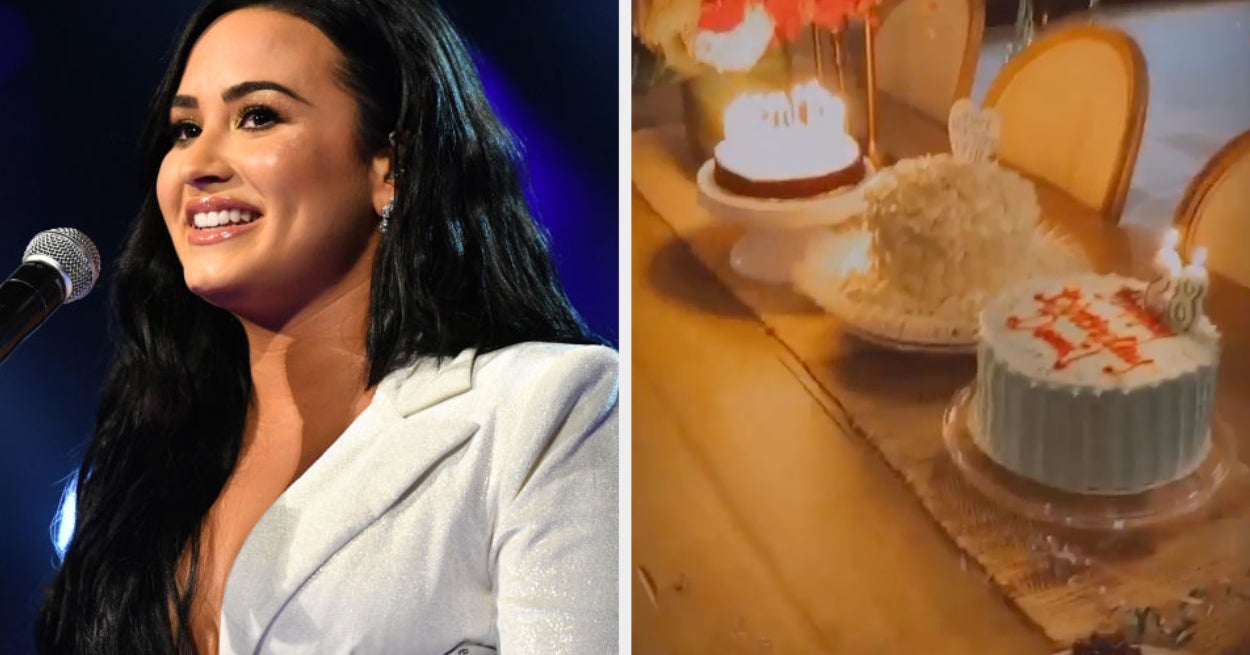 Demi Lovato Celebrates 28th Birthday With Heartwarming Instagram Post
