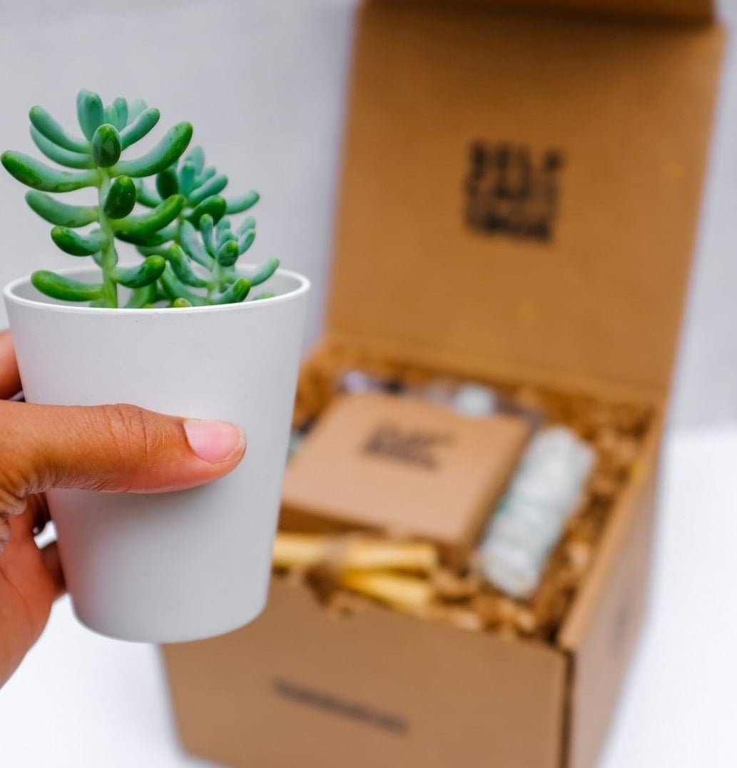 hand holding succulent in a grey vase in front of an open box