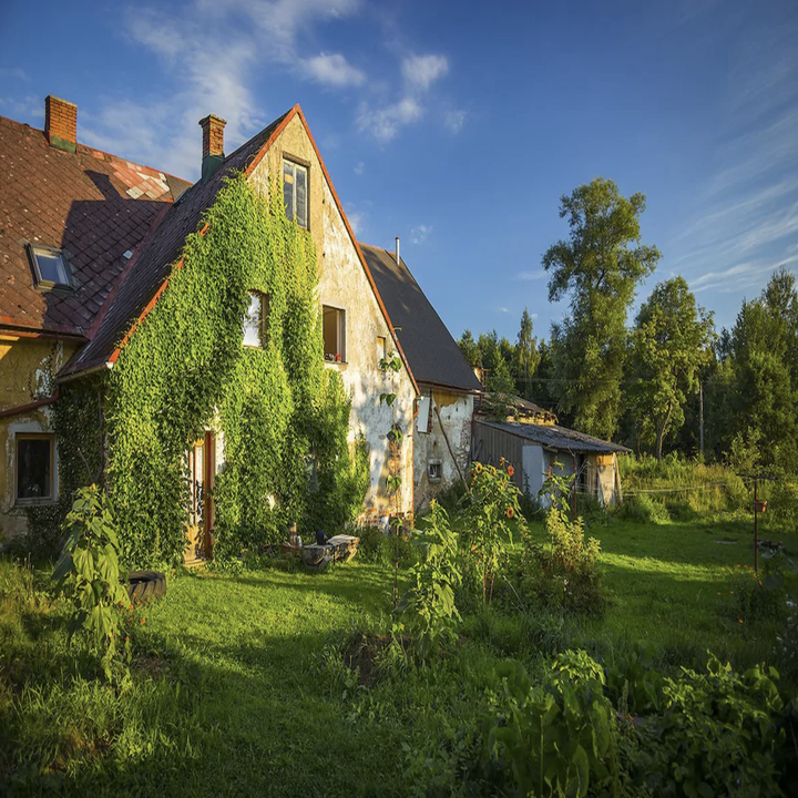 17 Cottagecore Rentals You Can Dream About Visiting One Day