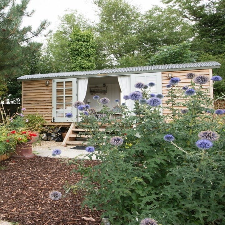17 Cottagecore Rentals You Can Dream About Visiting One Day