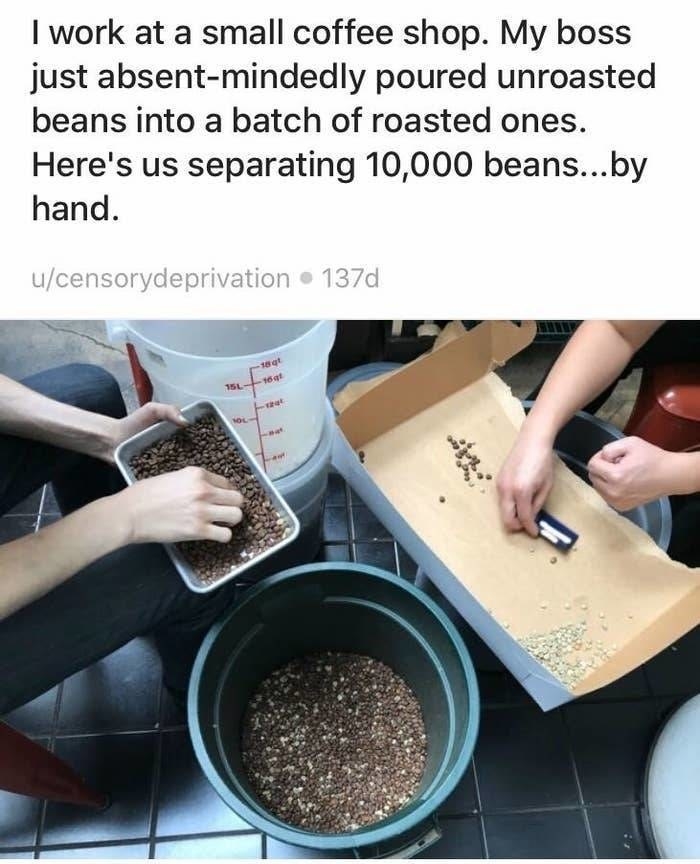 two people sorting coffee beans with the caption i just absent-midnely poured unroasted beans into a batch of roasted ones here&#x27;s us separating 10000 beans by hand