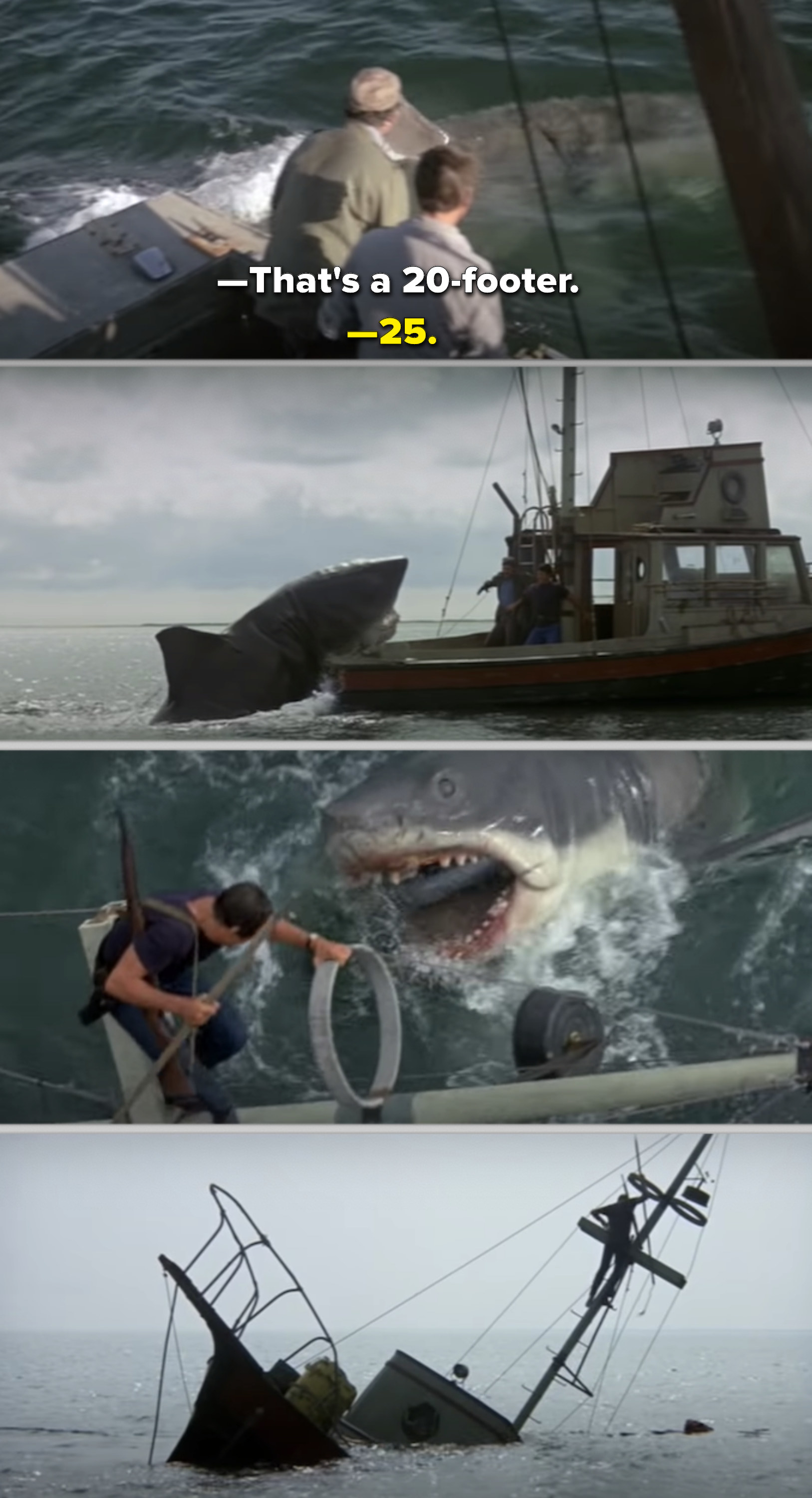 The shark destroying the boat