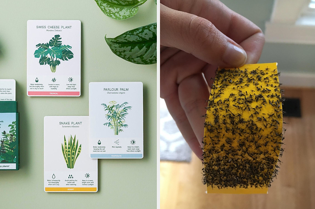 If You Have A Lot Of Houseplants, These 24 Products Might Come In Handy