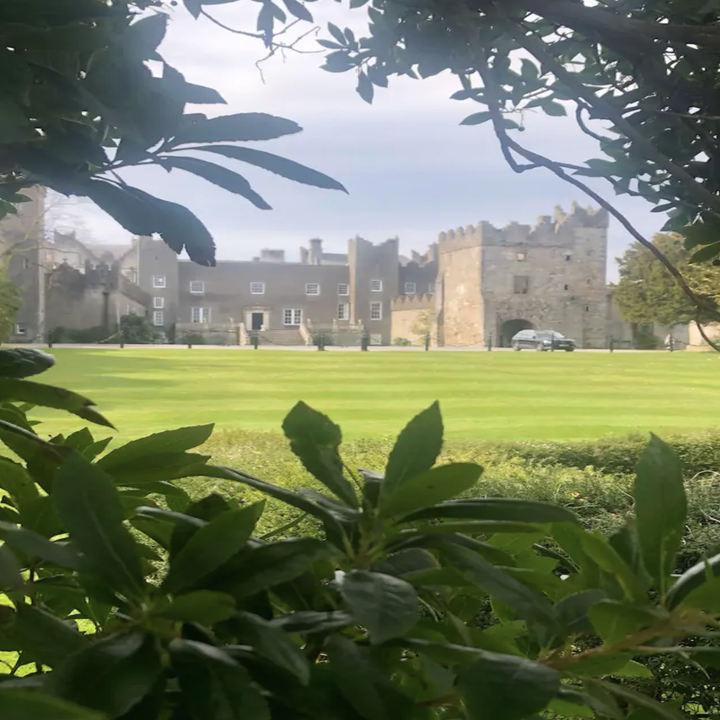Leaves outline a view of a grassy lawn and castle in the far background