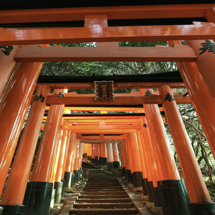 A POV shot of walking up the stairs through Kyoto's famous red, pillared gates