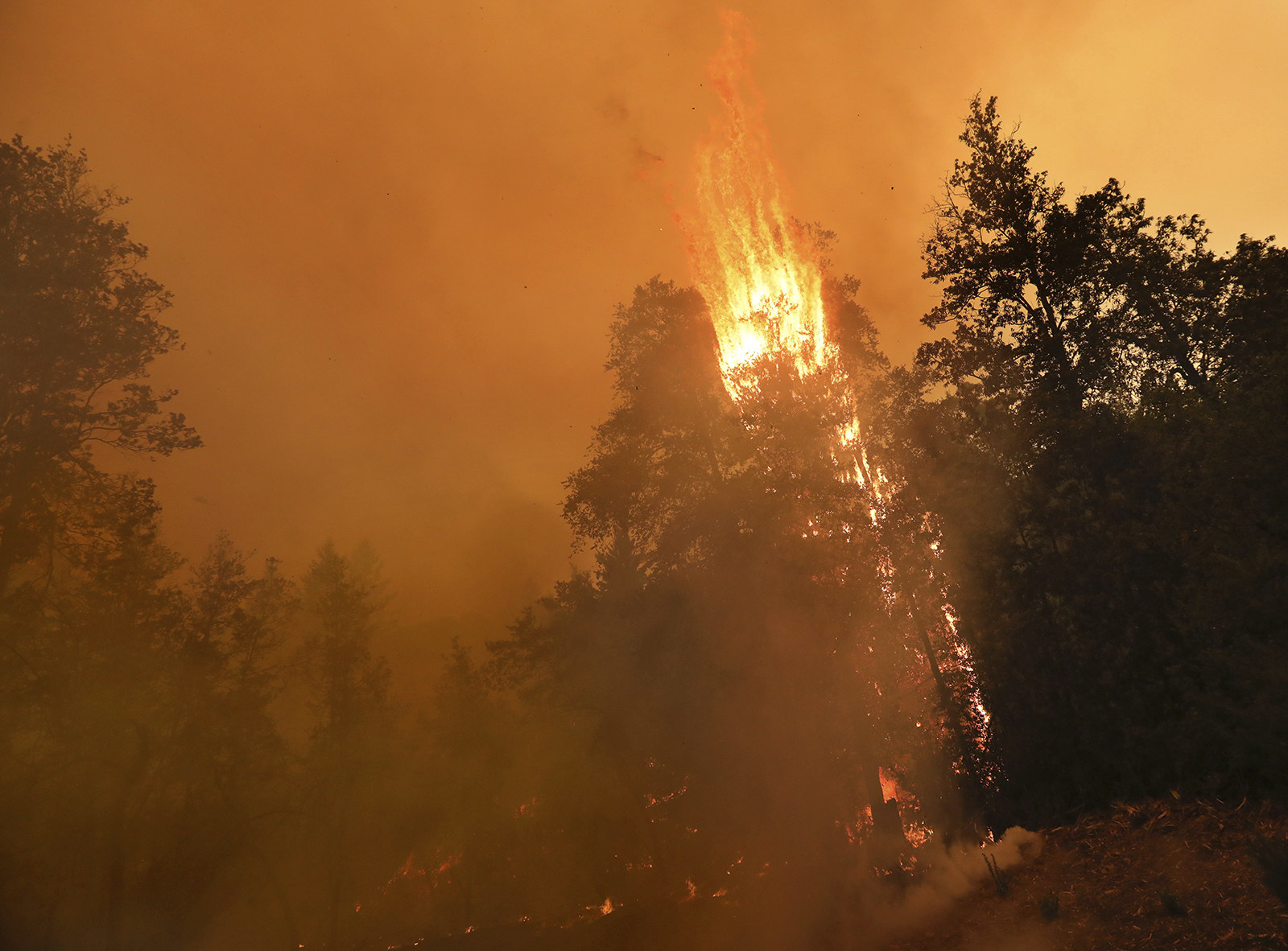 23区の約5倍が焼失 米カリフォルニアの山火事の被害面積が 過去最大規模に