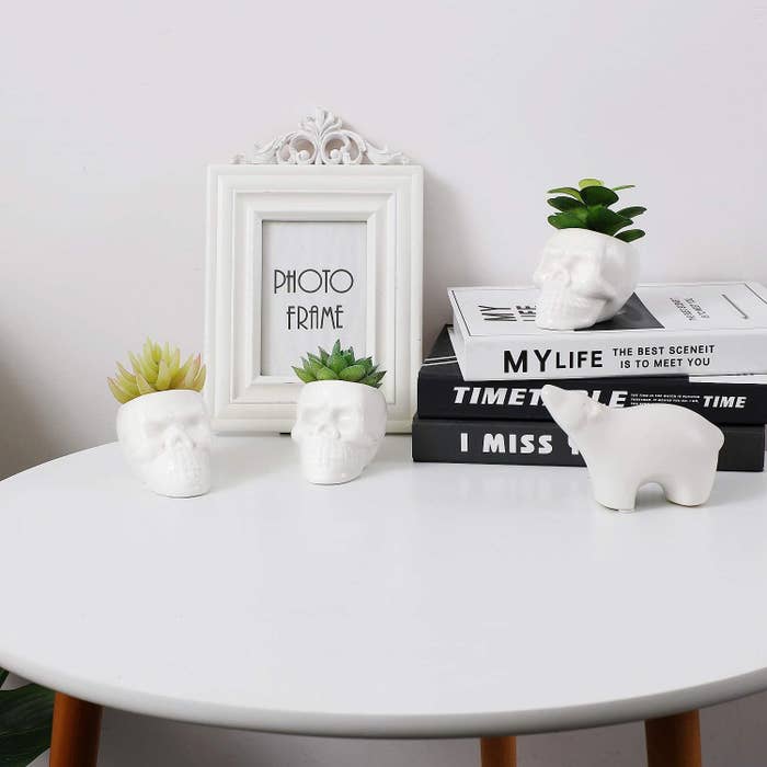 Three skull-shaped plant pots on a table with succulents inside of them