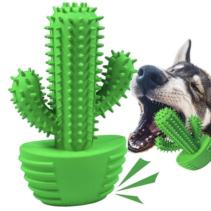 21 Products From Amazon For Dogs Who Just *Love* To Chew