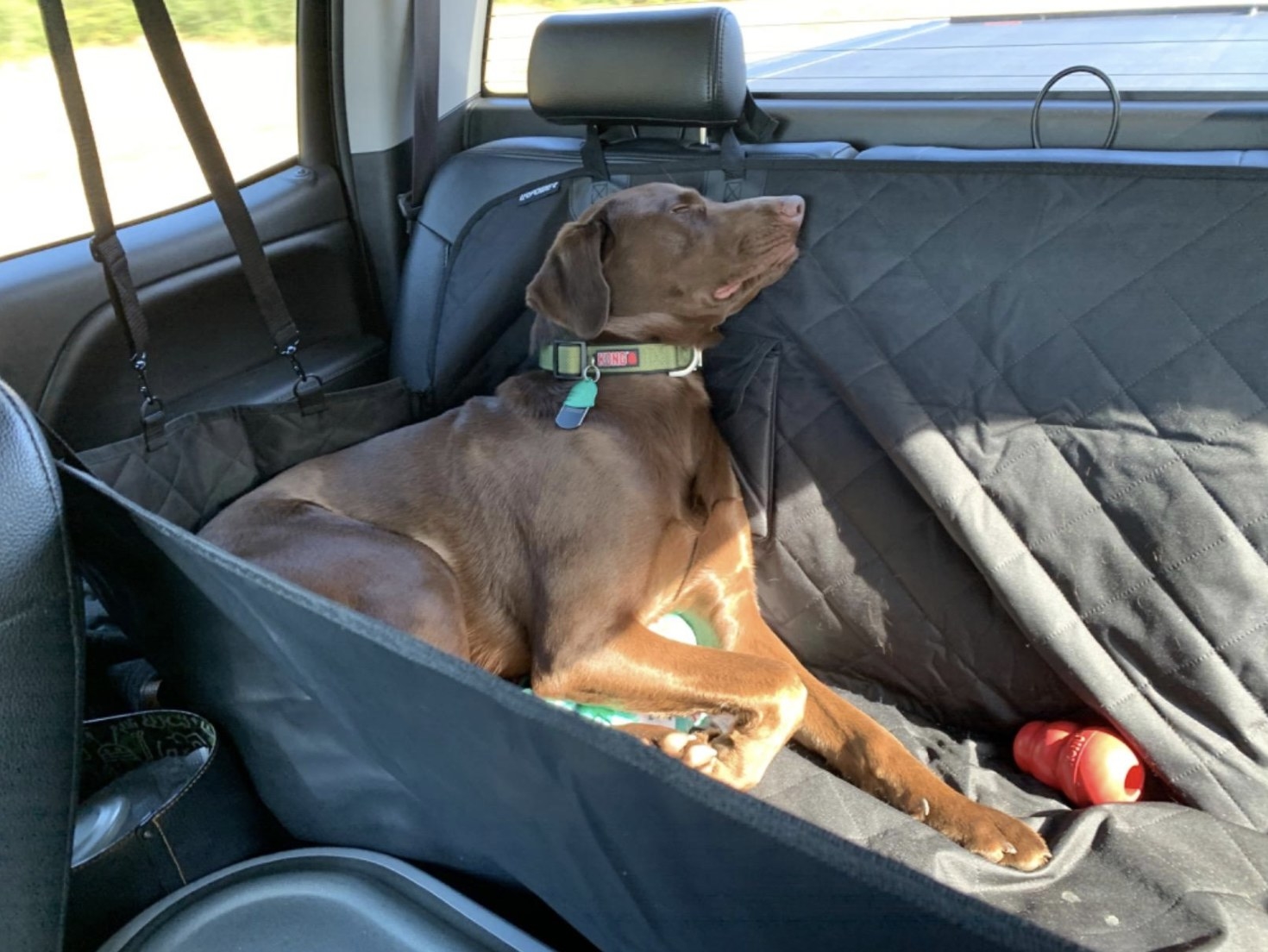 A chocolate lab napping in the backseat of a car in a seat cover