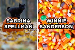 On the left, a black kitten stands on a pumpkin that's resting on some fall leaves with "Sabrina Spellman" typed on top of the image, and on the right, a pile of candy corn and candy pumpkins with "Winnie Sanderson" typed on top of the image