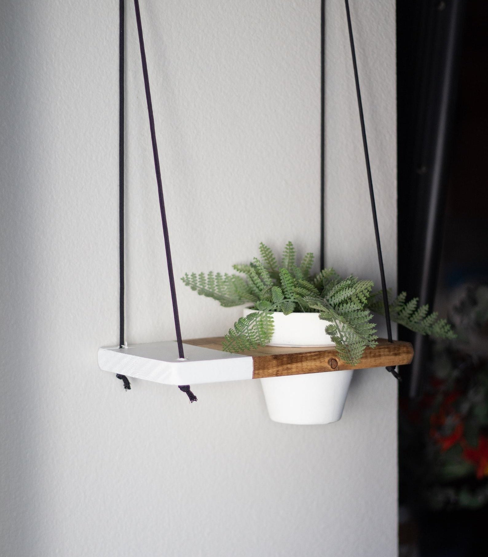 A piece of wood with a hole in the right side with a potted plant in it and a quarter of the left side painted white with black rope connecting it to the wall