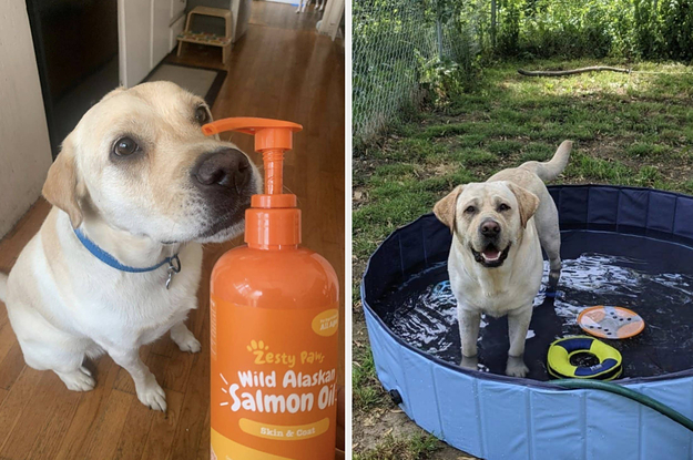 25 Products From Amazon That Lab Owners Swear By