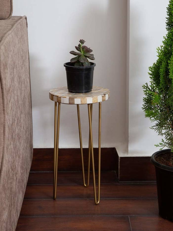 A white and gold hairpin table with a plant on it.