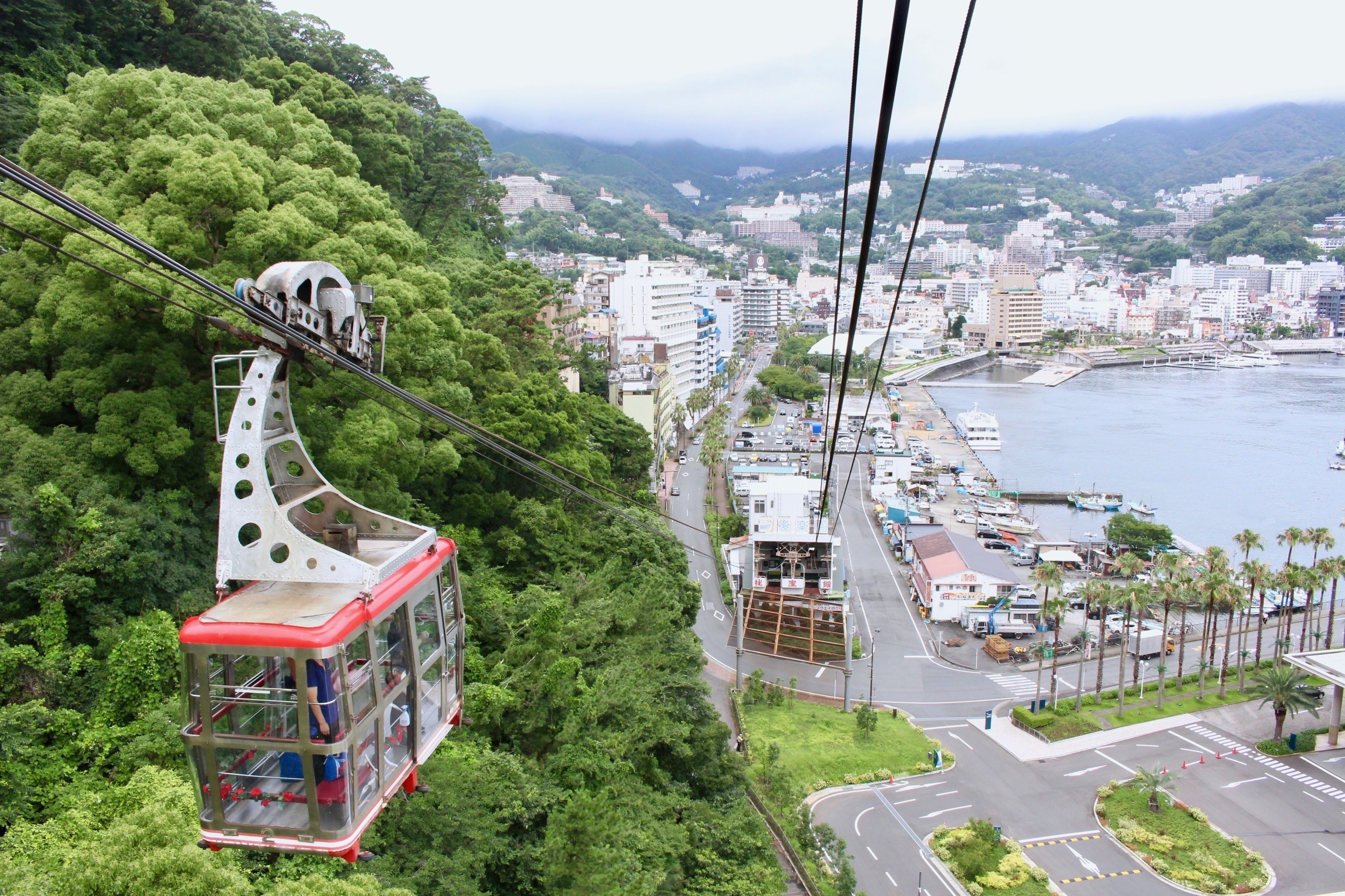 雨でもok 子どもと楽しめる伊豆 熱海おでかけスポットを厳選 名物 カピバラ温泉 も