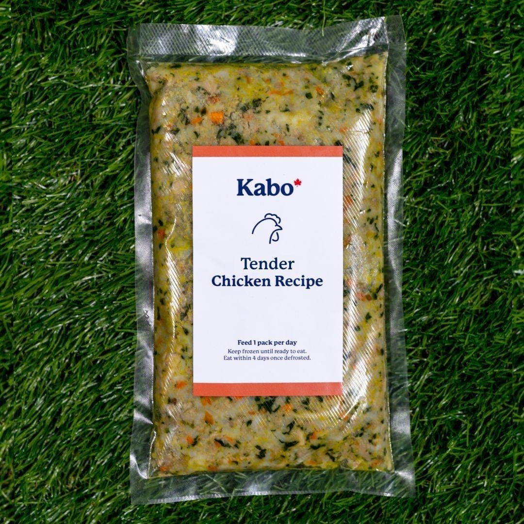 kabo fresh dog food