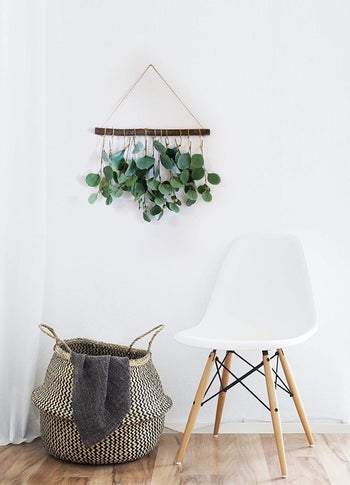 Different version with larger leaves