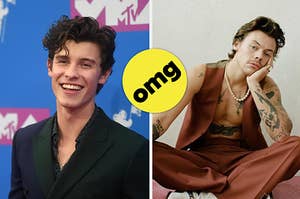 Shawn Mendes and Harry Styles.