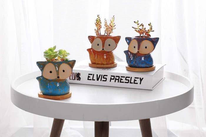 Three fox planters with succulents sit on a table