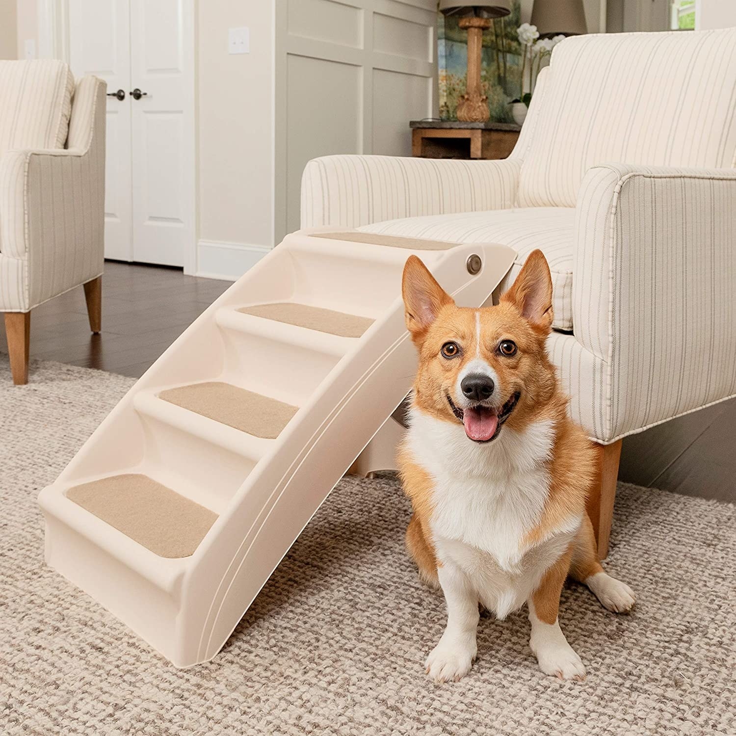 Corgi beside stairs leading onto chair. There are four steps. 