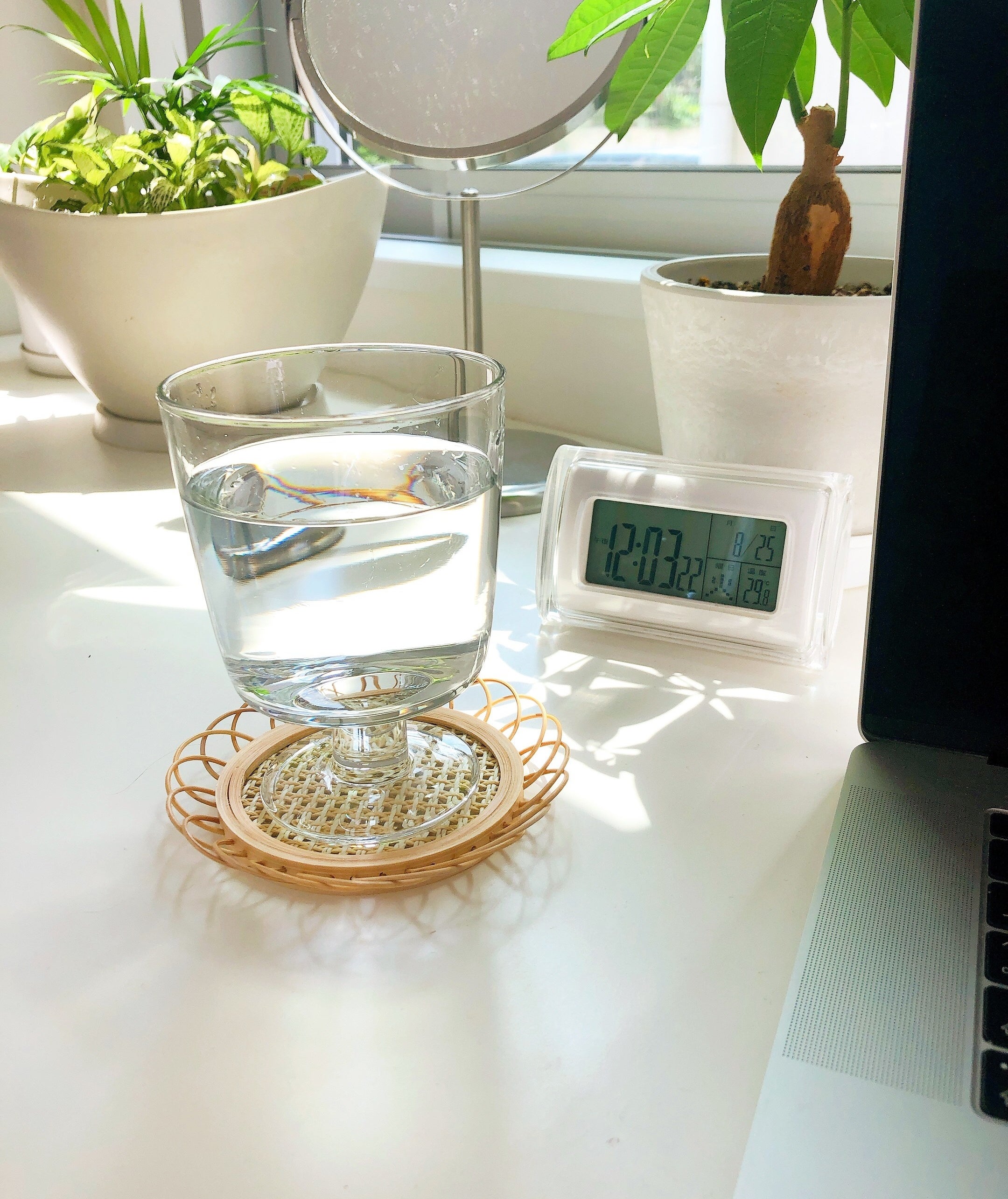 おうちカフェしてる人に伝えたい ダイソーの ひまわりコースター がとんでもない可愛さでした