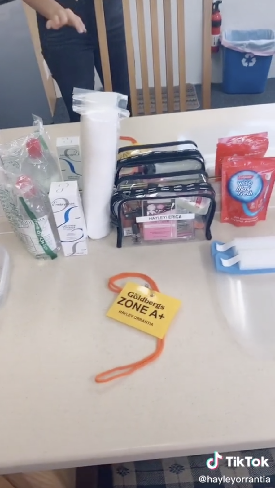 Hayley&#x27;s personal supply of makeup, makeup remover, nail polish, skin care products, and oral hygiene products.