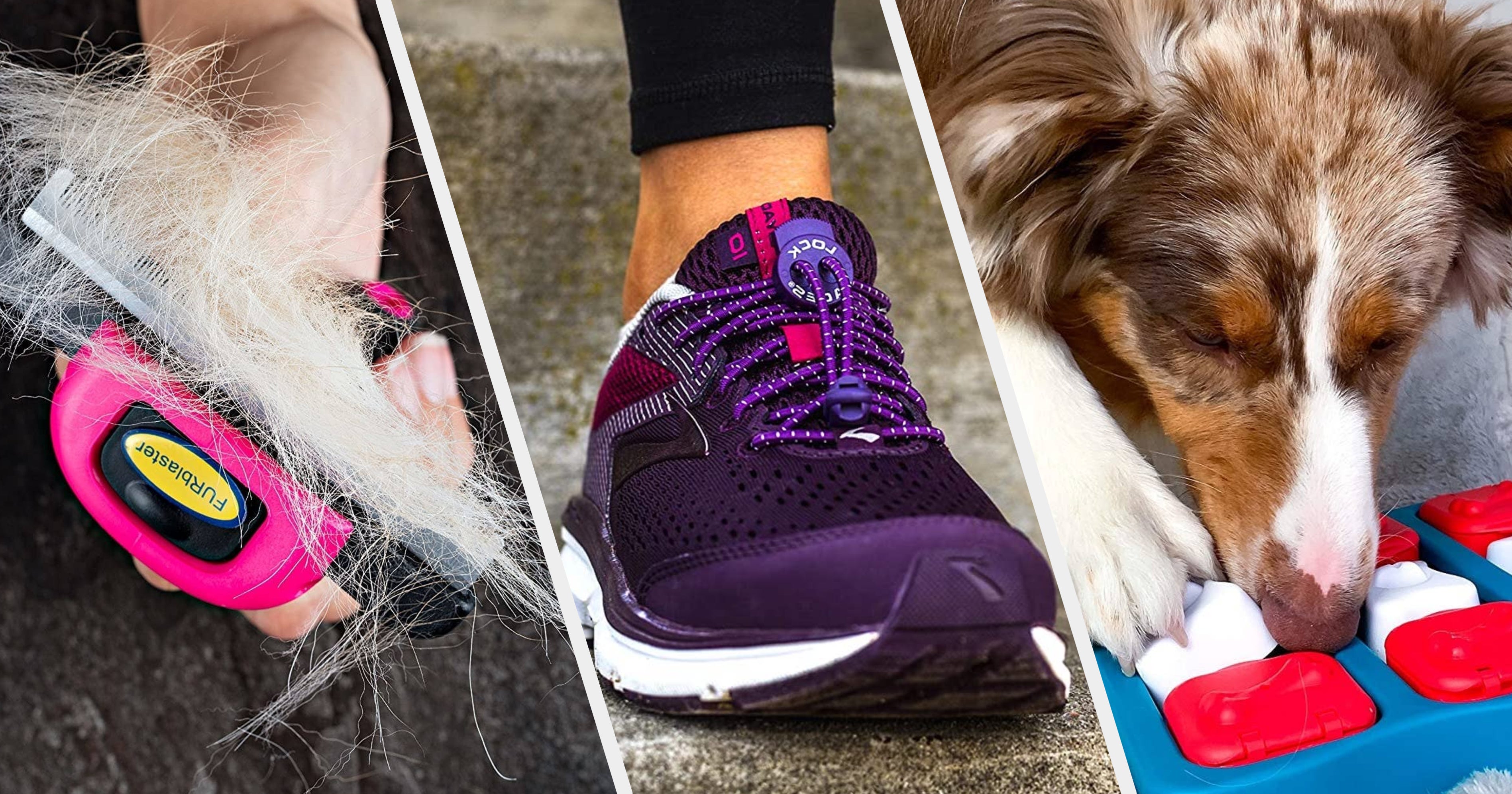 Best Dog Products On Amazon Canada