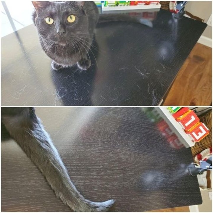 Reviewer's before-and-after picture of their desk covered in cat hair and then clean 