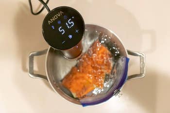 A reviewer photo of the sous vide inside of a pot of water with a piece of salmon inside
