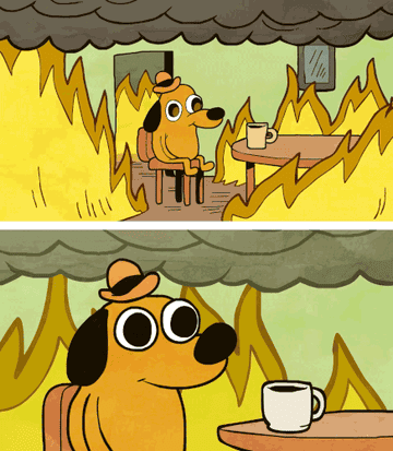 The meme of a dog drinking coffee and saying &quot;this is fine&quot; while surrounded by fire 