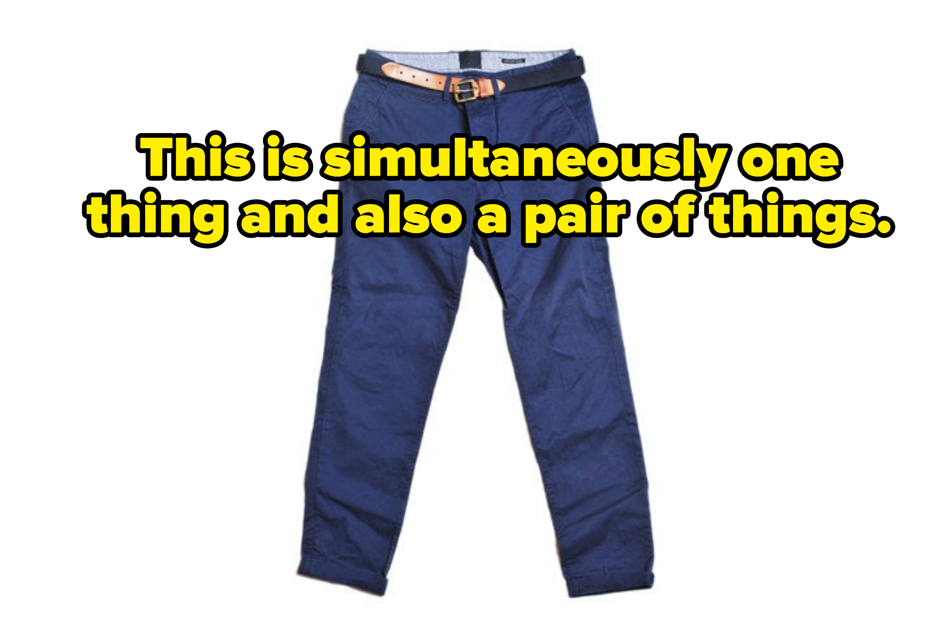 Image of pants that says this is simultaneously one thing and also a pair of things