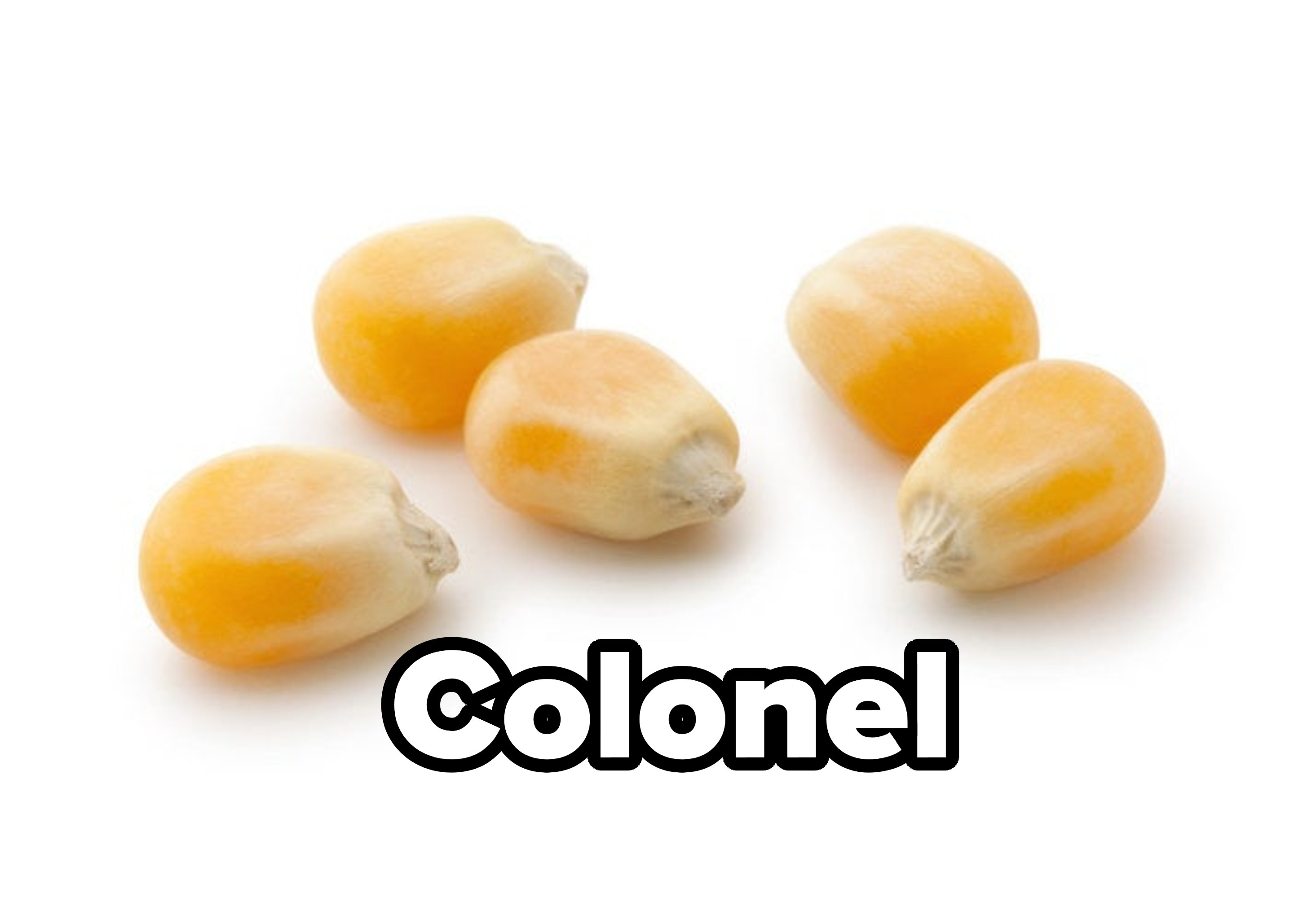 Corn kernels next to the word colonel